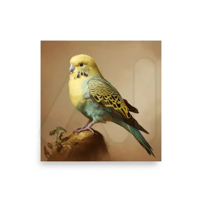 Budgie Poster - 10″×10″