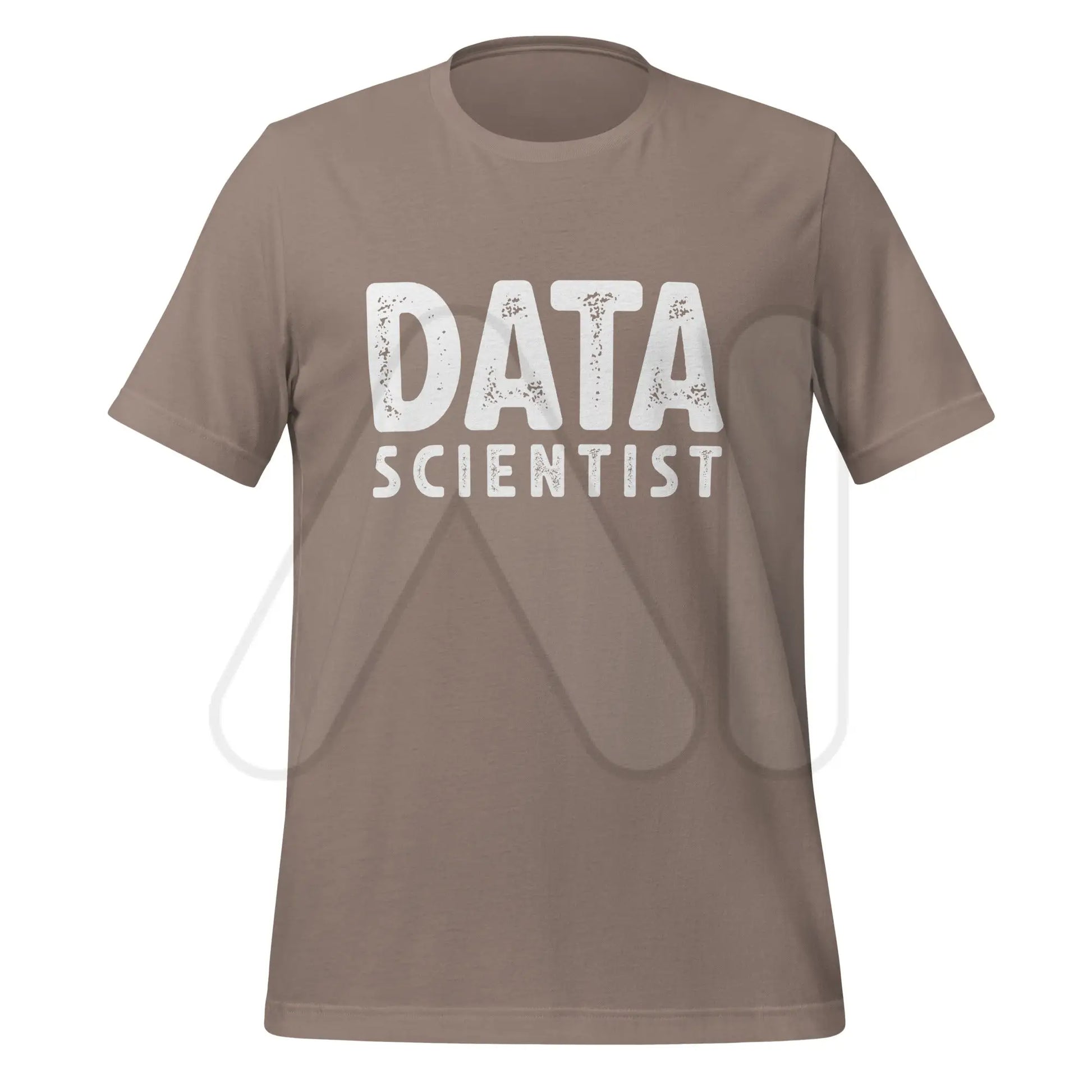 DATA SCIENTIST T-Shirt (unisex) - Pebble / M