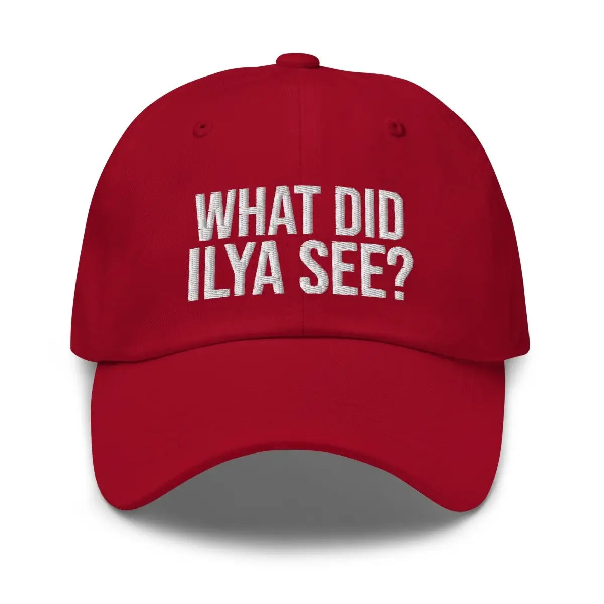 WHAT DID ILYA SEE? Embroidered Cap 4 - Cranberry