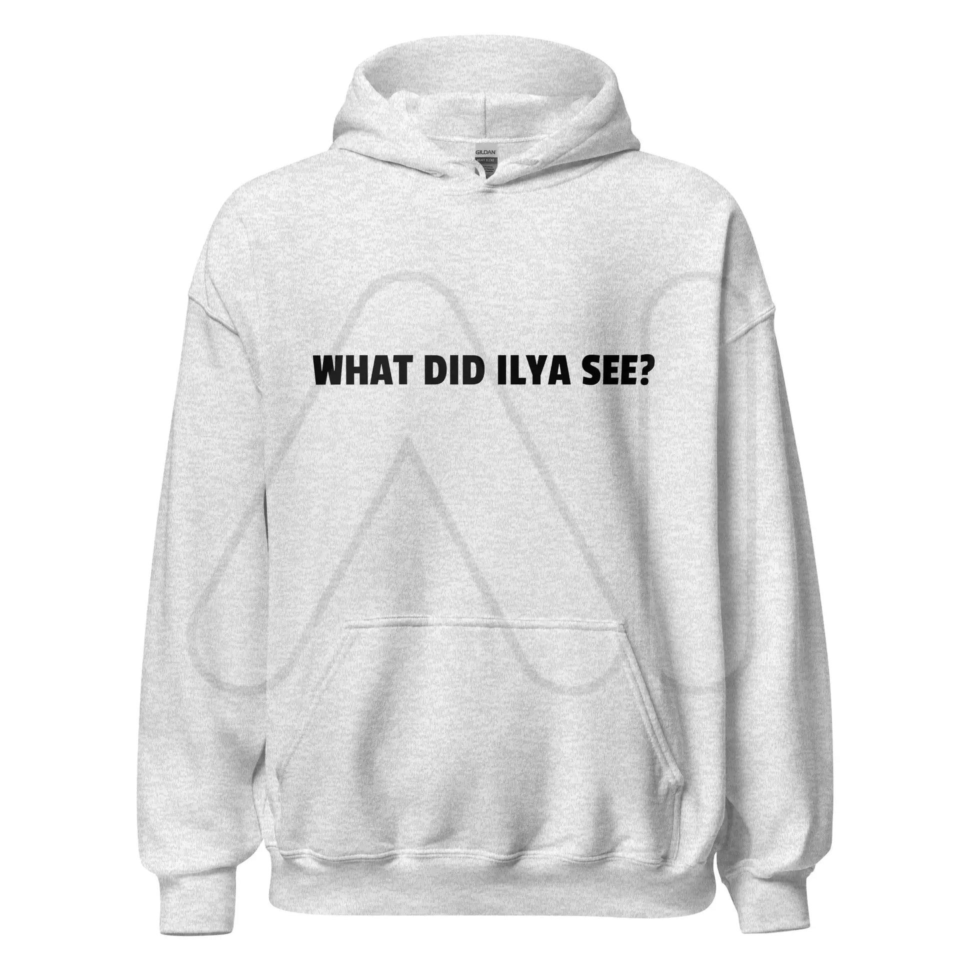 WHAT DID ILYA SEE? Hoodie (unisex) - Ash / M