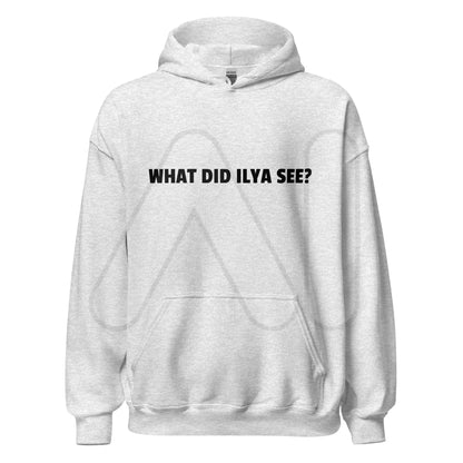 WHAT DID ILYA SEE? Hoodie (unisex) - Ash / M