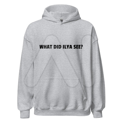 WHAT DID ILYA SEE? Hoodie (unisex) - Sport Grey / M