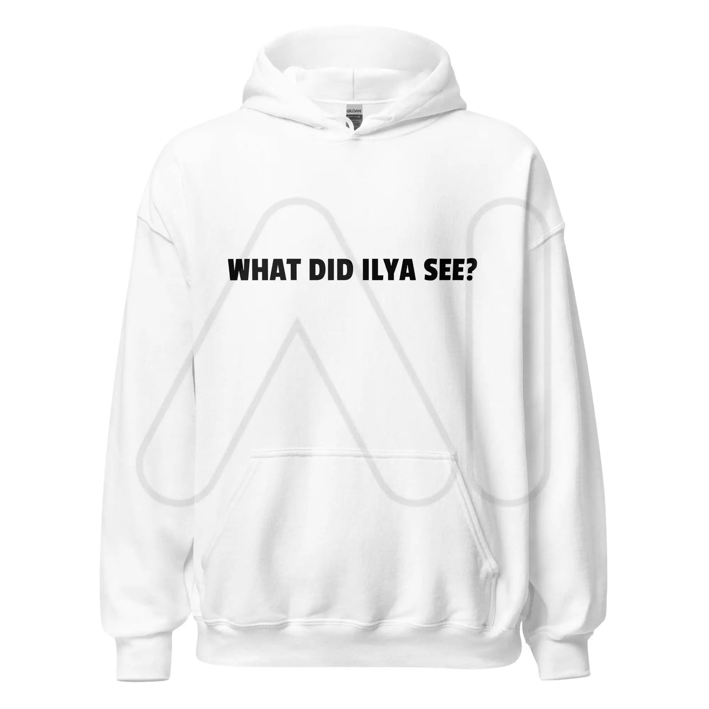 WHAT DID ILYA SEE? Hoodie (unisex) - White / M