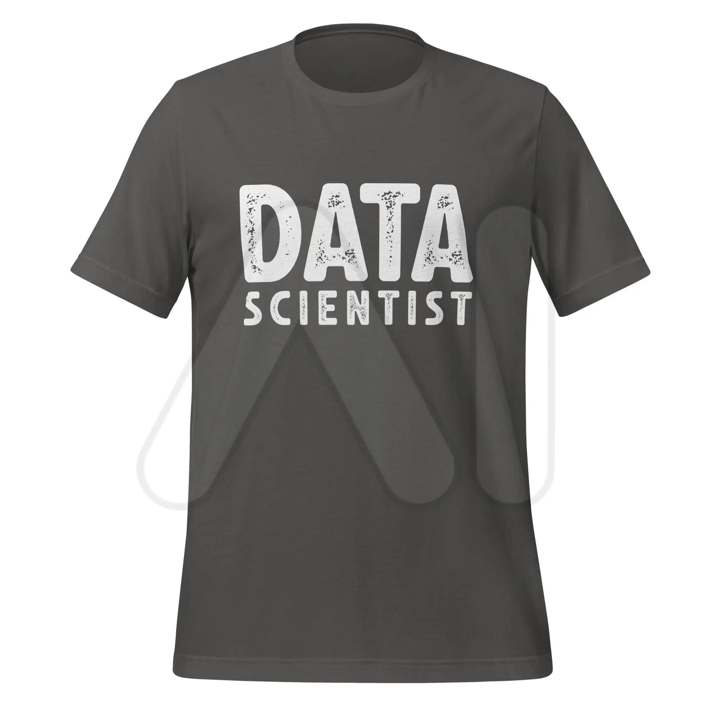 DATA SCIENTIST T-Shirt (unisex) - Asphalt / M