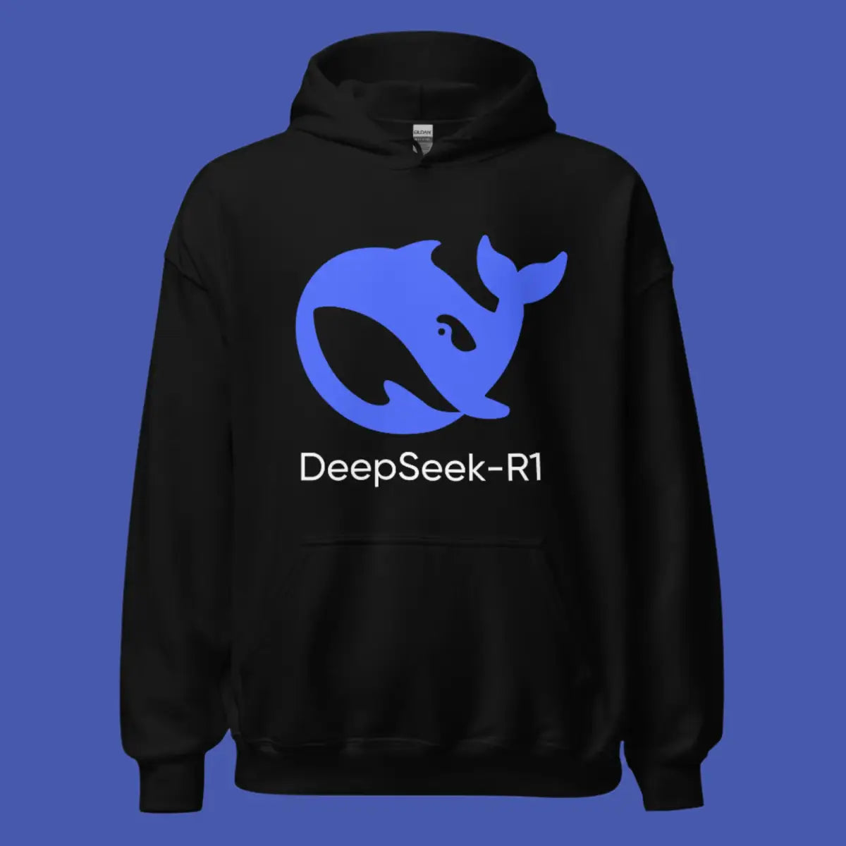 DeepSeek-R1 Icon Hoodie (unisex)