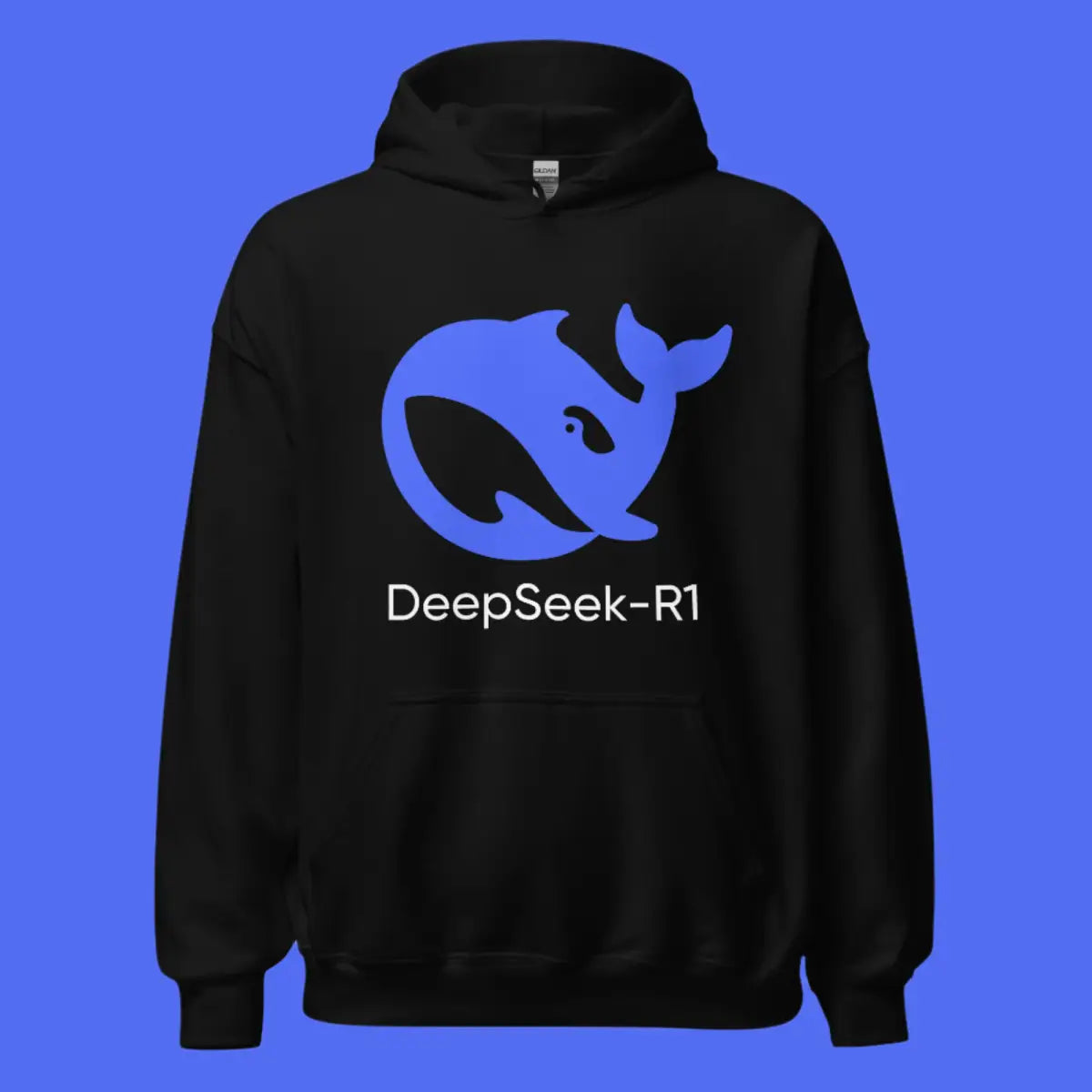 DeepSeek-R1 Icon Hoodie (unisex)