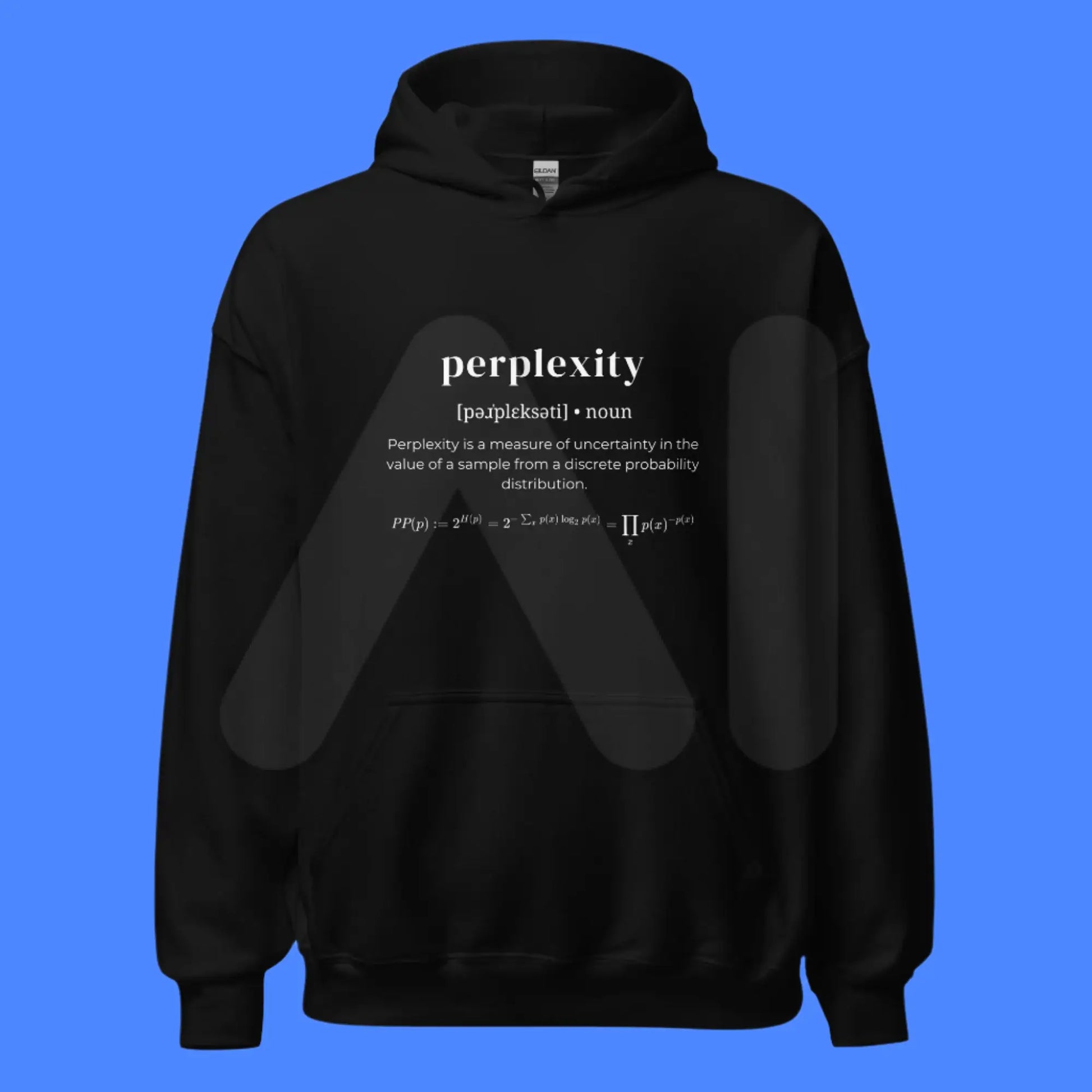 Definition of Perplexity Hoodie (unisex)