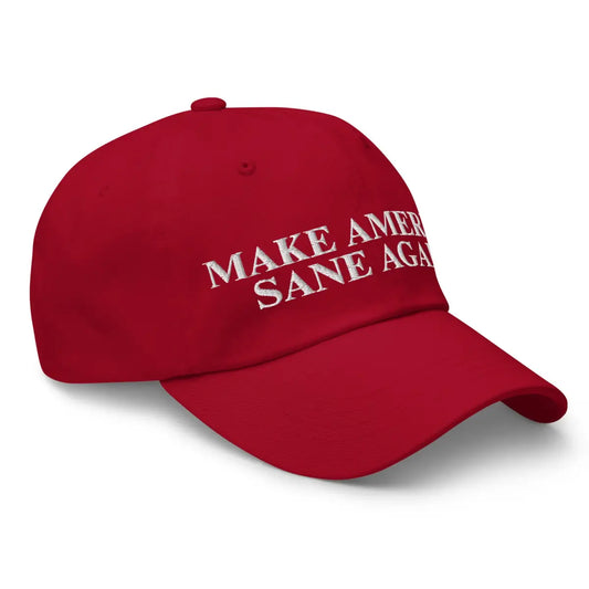 MAKE AMERICA SANE AGAIN Cap 2