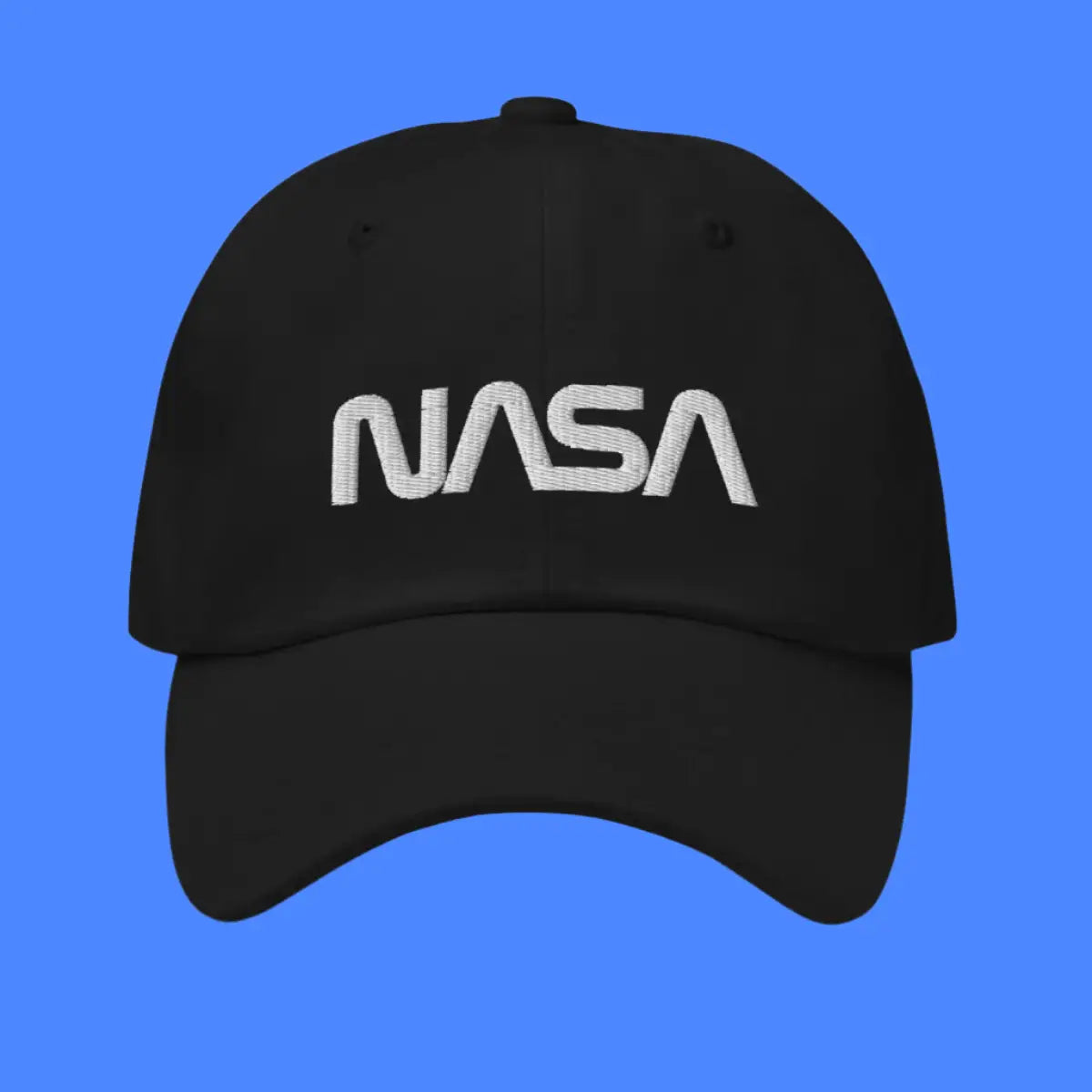 NASA Worm Logo Cap