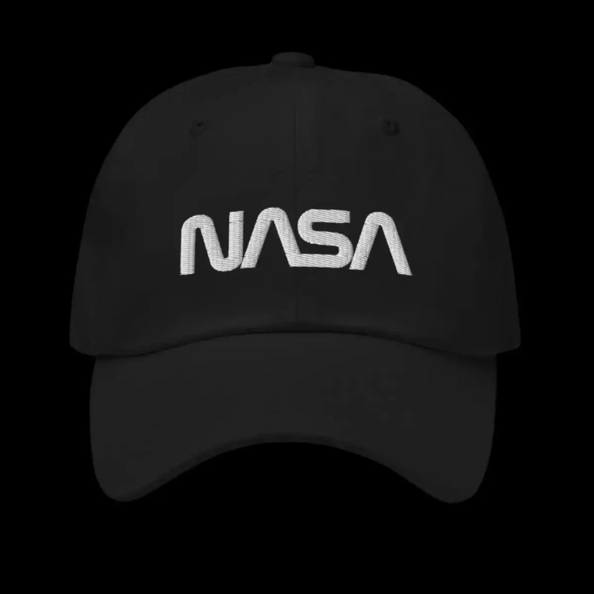 NASA Worm Logo Cap