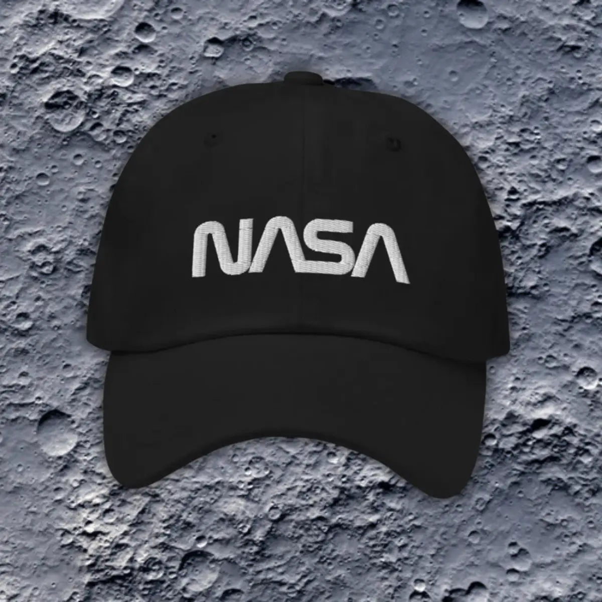 NASA Worm Logo Cap