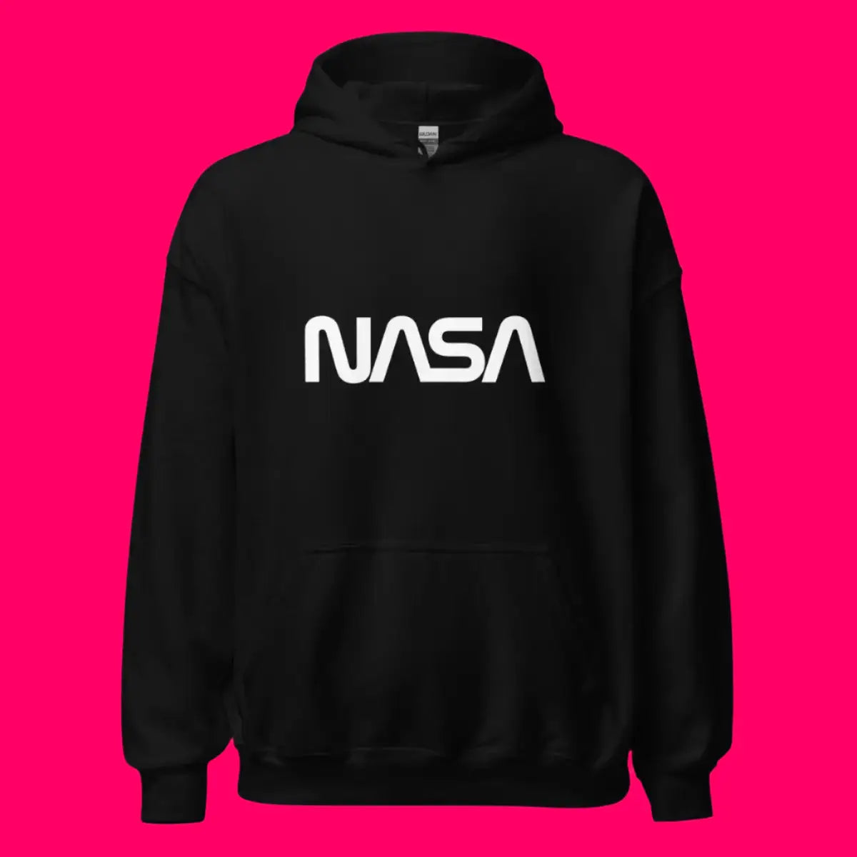 NASA Worm Logo Hoodie (unisex)