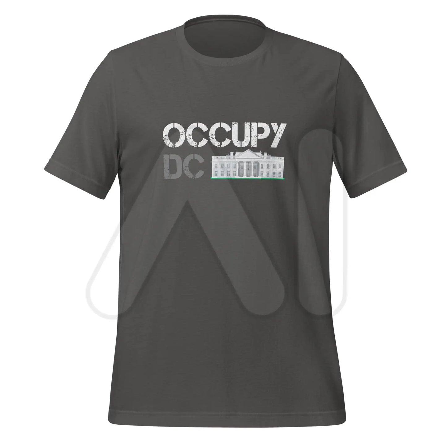 Occupy DC T-Shirt for Elon (unisex) - Asphalt / M