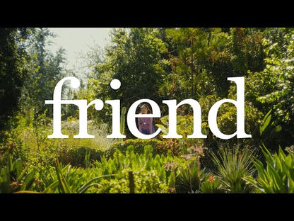 Friend