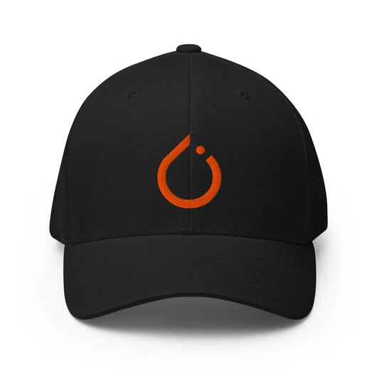 PyTorch Closed-Back Baseball Cap - Black / S/M